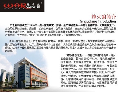 【烽火狼品牌键盘鼠标工厂,游戏网吧,承招国内代理商专业游戏产品】价格,厂家,图片,鼠键套装,李勇-